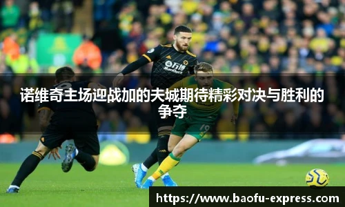 vsport体育在线官网